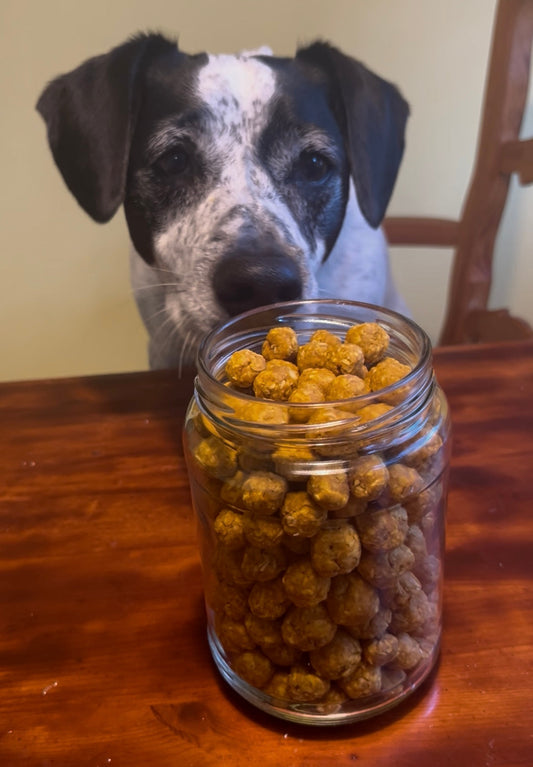 Pumpkin Peanut Butter Training Treats!