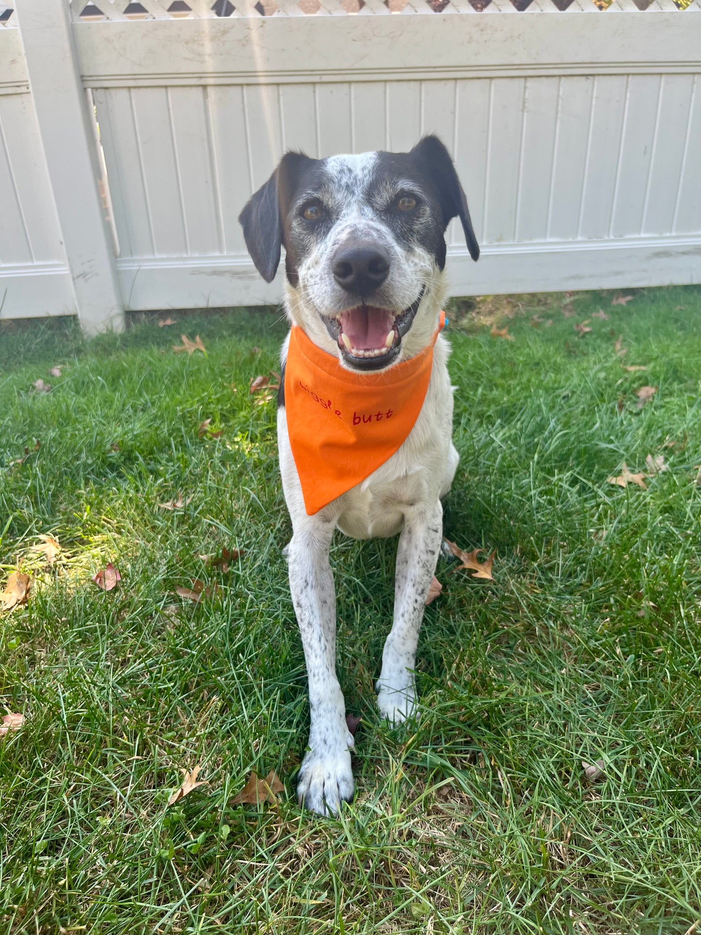 "Wiggle Butt" Bandana