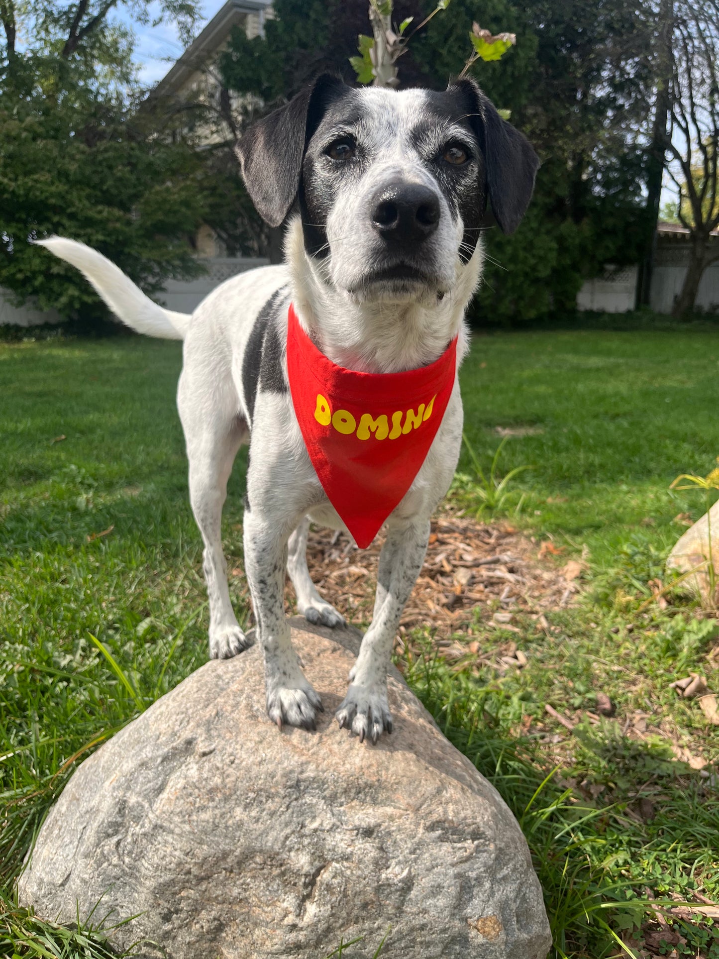 Custom Name Bandana
