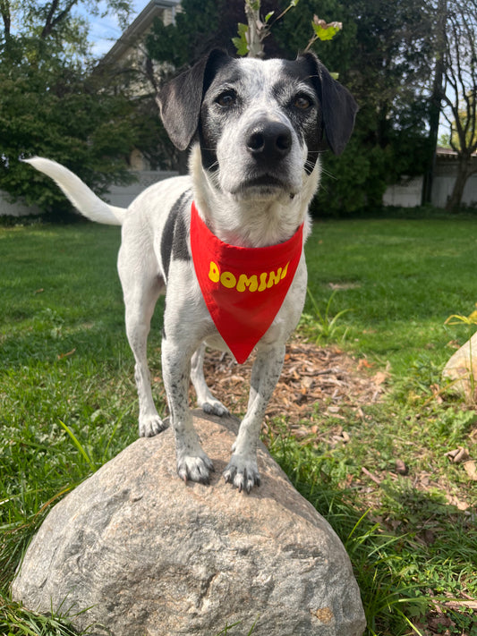 Custom Name Bandana