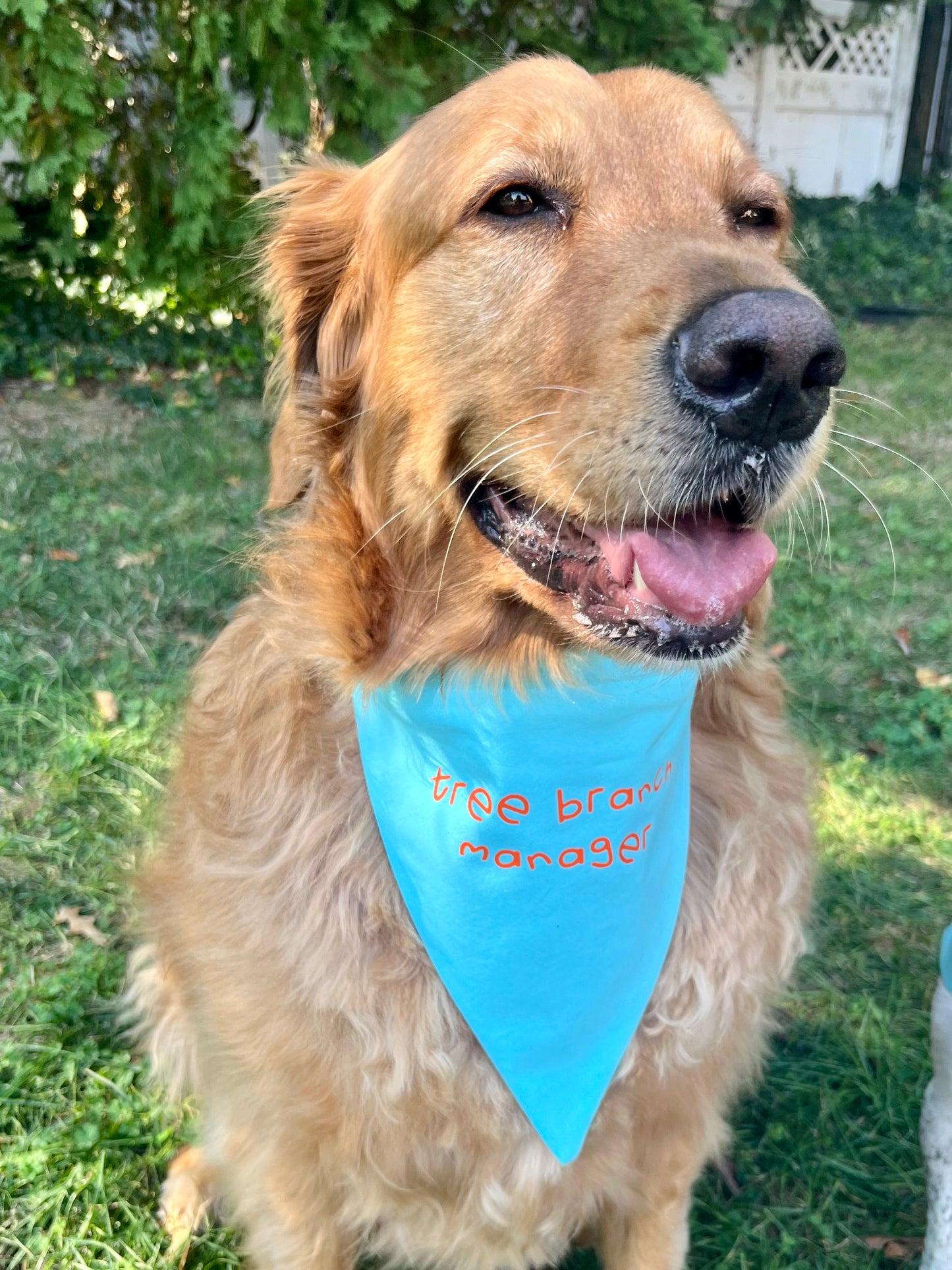 The Loving Retriever Bundle