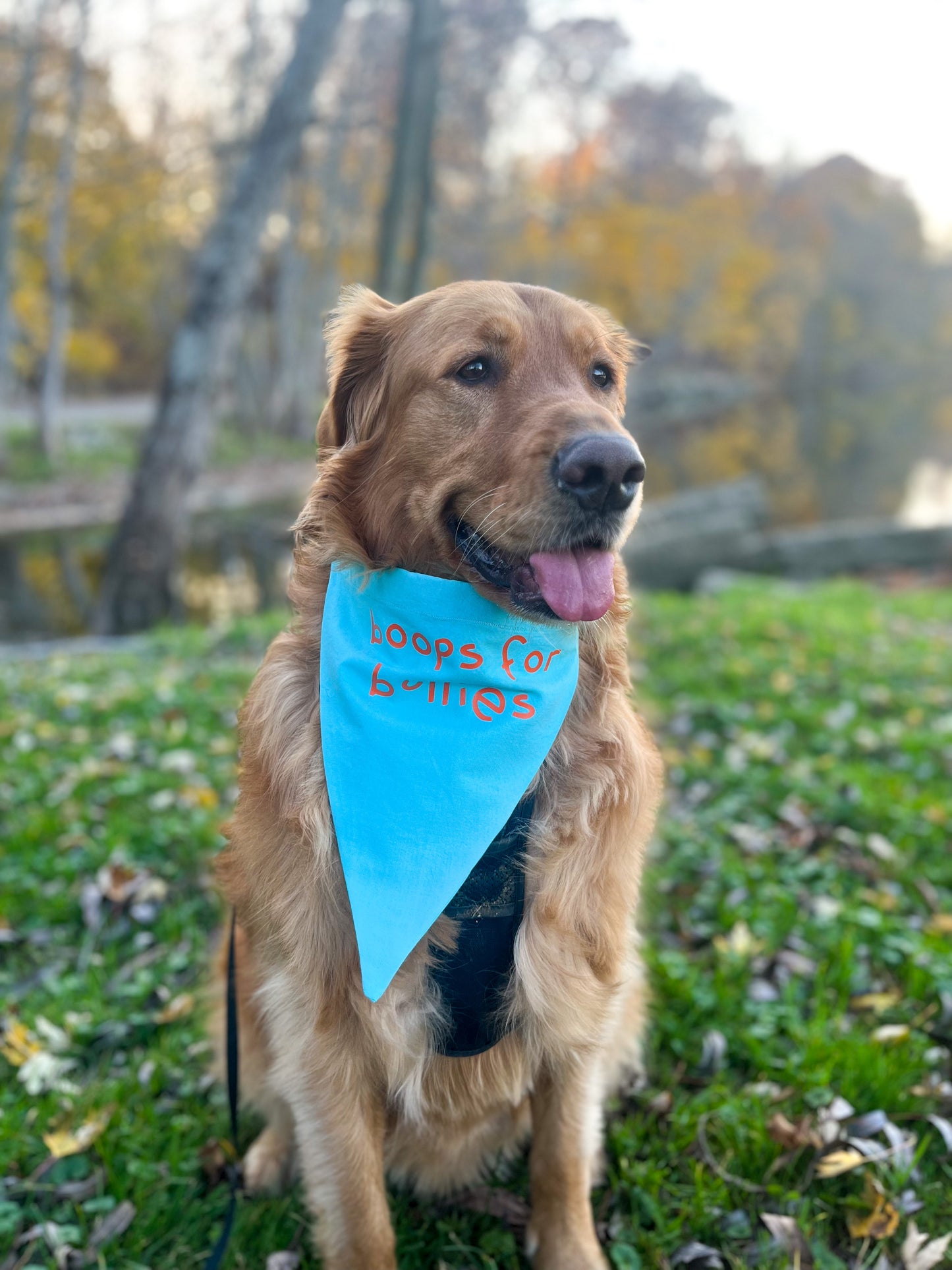 "boops for bullies" bandana