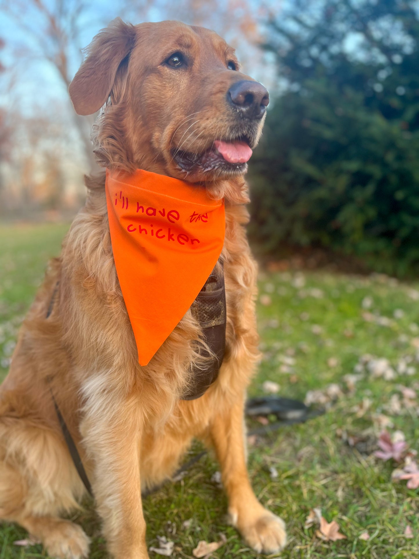 "i'll have the chicken" bandana