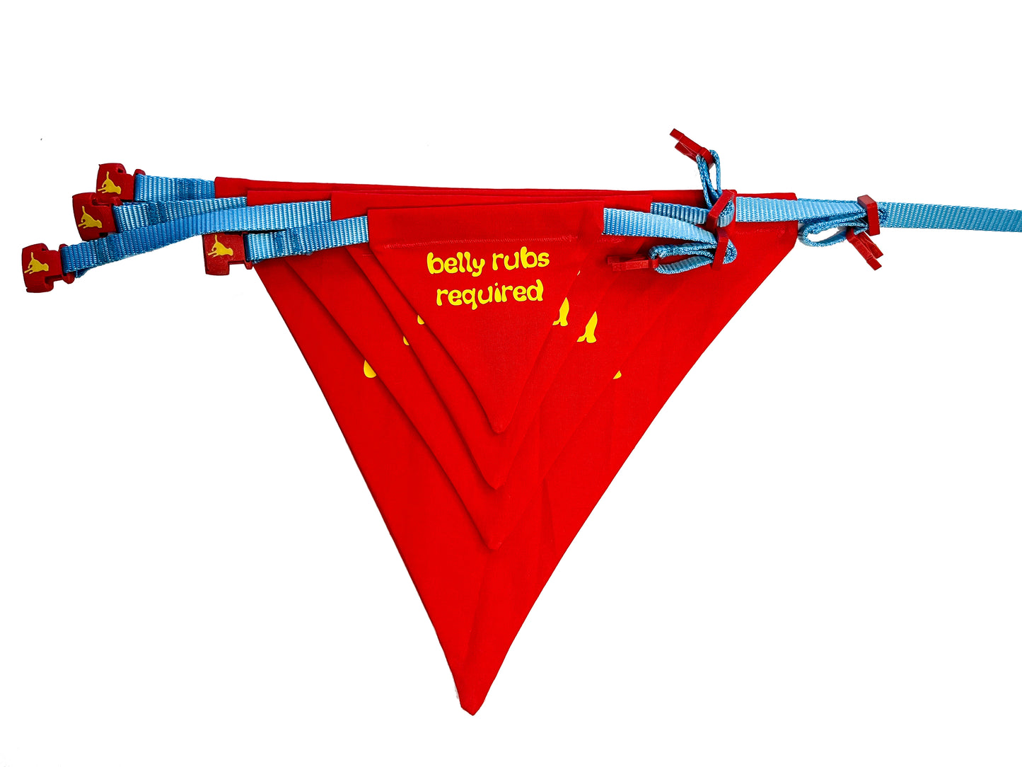 The Colorful Classics Bandana Collection