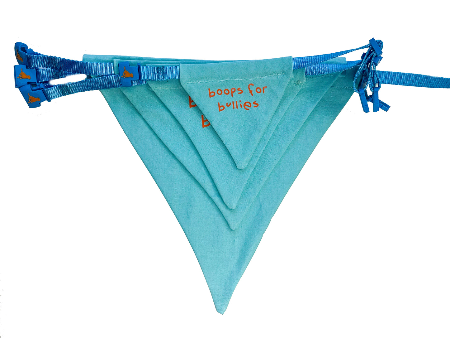 The Colorful Classics Bandana Collection