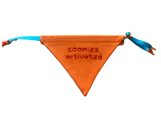 "Zoomies Activated" bandana