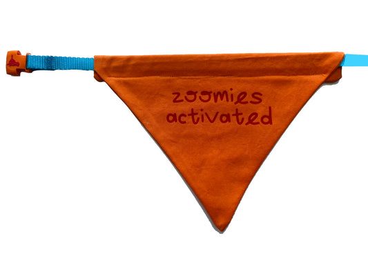 "Zoomies Activated" bandana