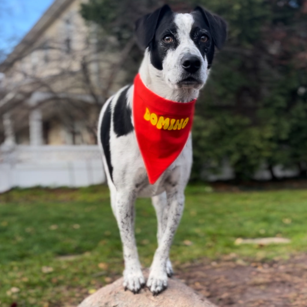 Dog name hot sale bandana